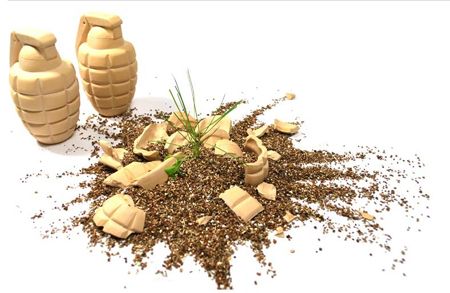 Flowers Growing In Grenade