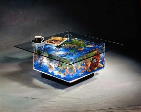fish tank coffee table. Coffee Table Fish Tank