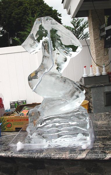  Reusable Swan Ice Sculpture Mold: Ice Cube Molds: Home