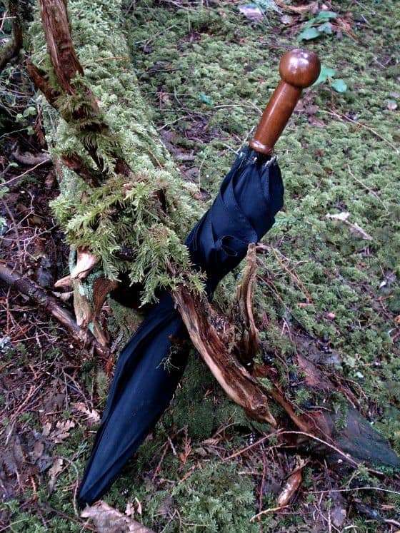 Unbreakable Umbrella In The Woods