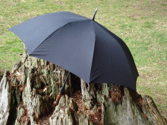 Unbreakable Umbrella Standing On A Stump