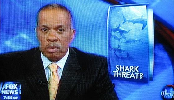 Summer of the shark on Fox News
