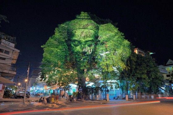3d projection on a tree