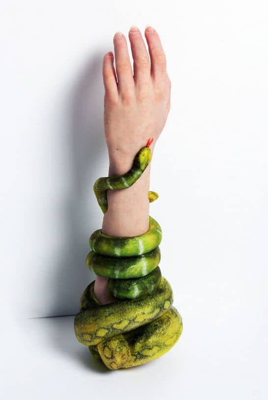 snake-prosthetic-arm02