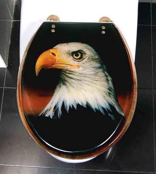 Eagle head on toilet seat Eagle head on toilet seat