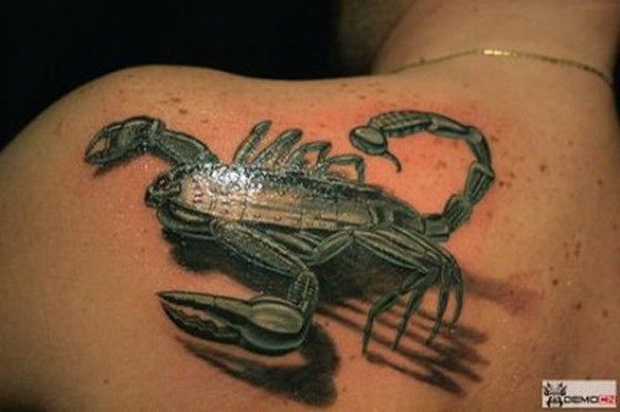 Scorpion Tattoo on a persons back