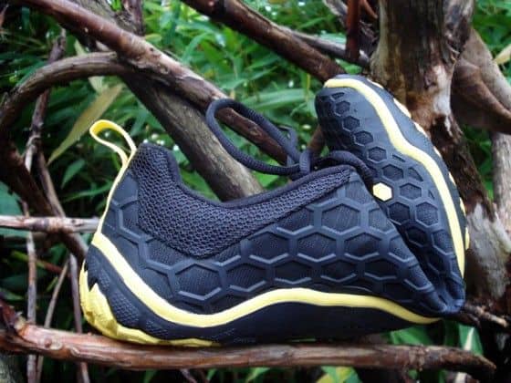 A Terra Plana Evo II up on a tree branch