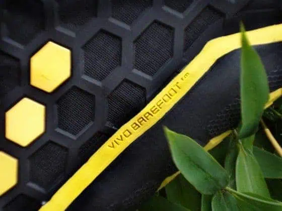 The Terra Plana Evo II logo up close