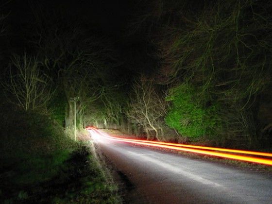 Night-Photographs-of-Forest Flashing lights by traffic through forest