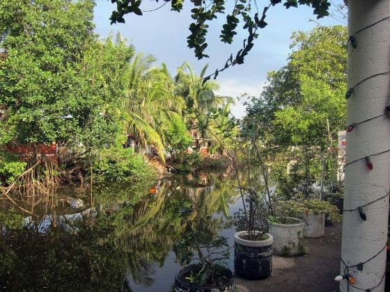 The Backyard Of D'Nest Inn In Belize The Backyard Of D'Nest Inn In Belize