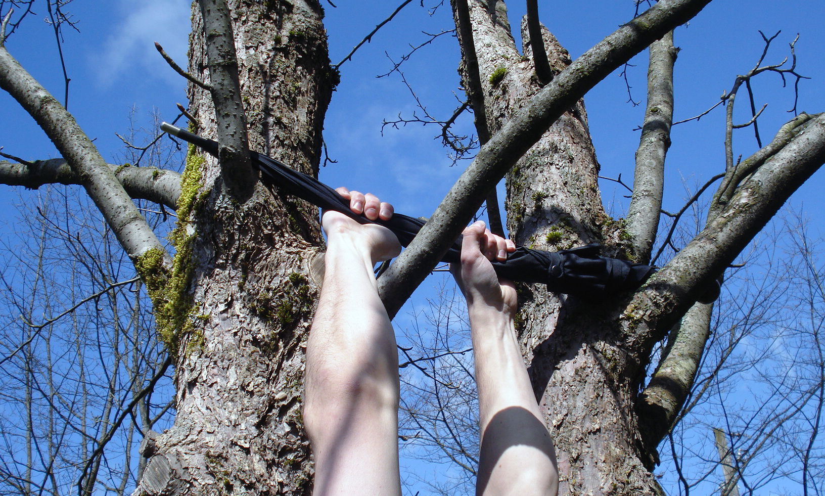 Chad Hanging From A Tree Using The Unbreakable Umbrella Chad Hanging From A Tree Using The Unbreakable Umbrella