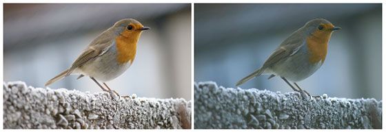 before and after colorimeter