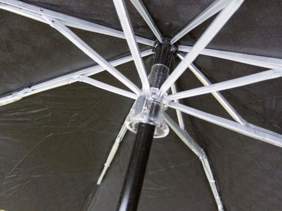 close-up of mini ao ribs