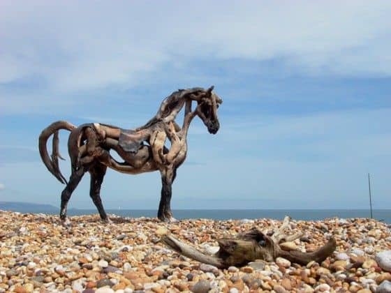 horse on a beach