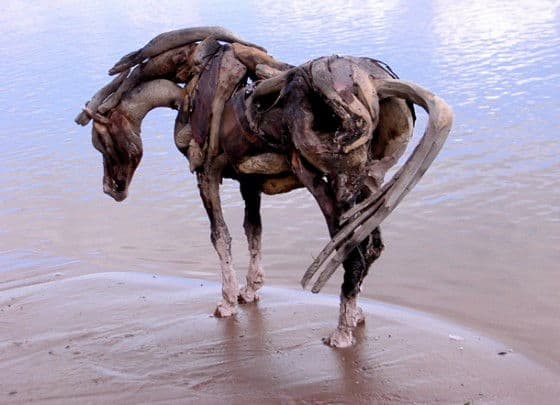 horse standing on sand