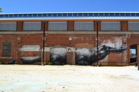 platypus art in Australia