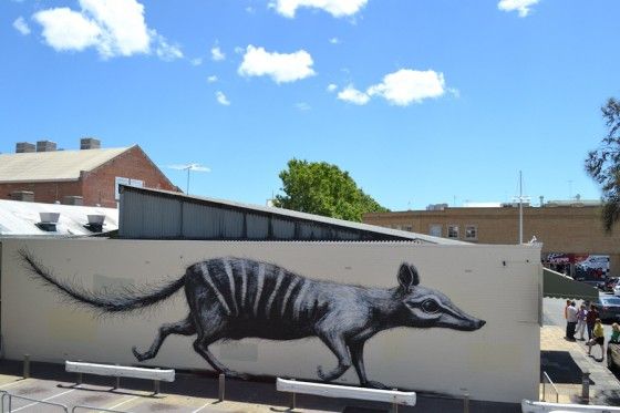 ROA Street Art