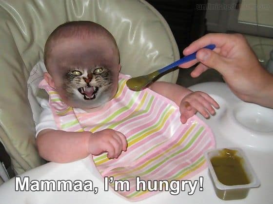 hungry baby