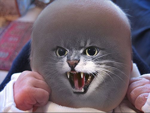 baby with cat face open