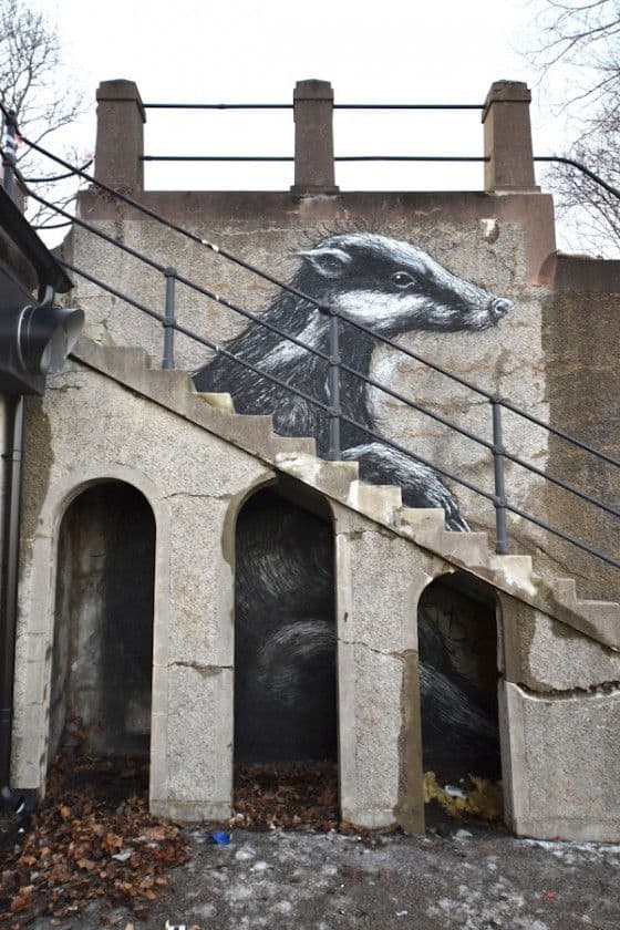 painted badger in Stockholm