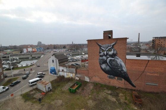Roa Streetart Owl