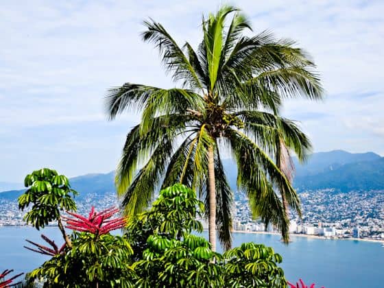Acapulco Views City