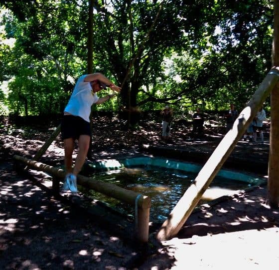 Mexico, Beyond the Border and the Hype: Adventure Travel in Veracruz 7 Mexico Verde Obstacle Course e1347147714137