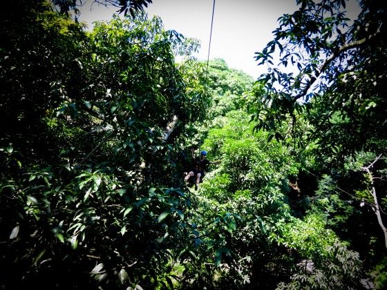 Mexico, Beyond the Border and the Hype: Adventure Travel in Veracruz 14 Mexico Verde Ziplining e1347147208390