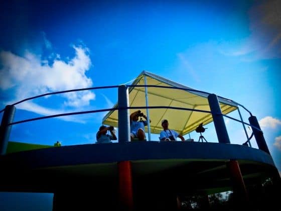 Mexico, Beyond the Border and the Hype: Adventure Travel in Veracruz 15 Pronatura Veracruz e1347147151919