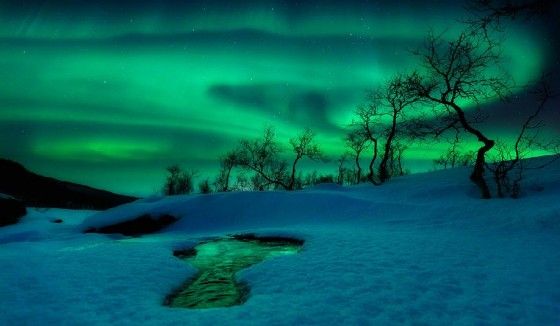 Green World by Arild Heitmann