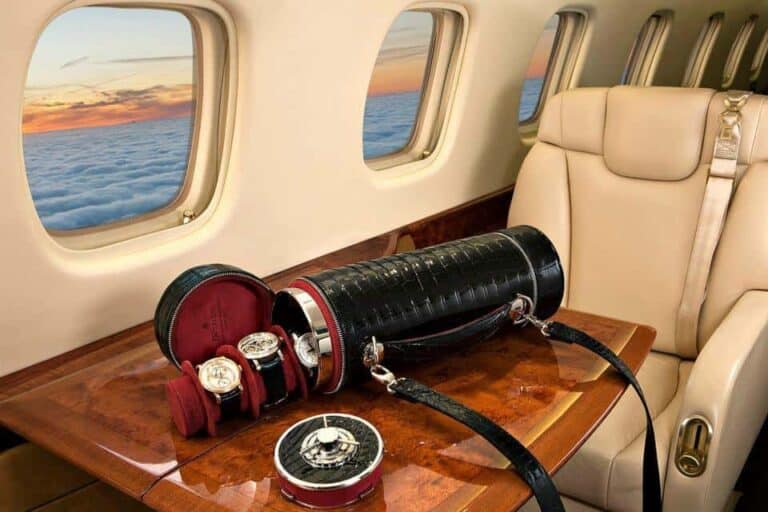 Dottling Guardian Travel Safe