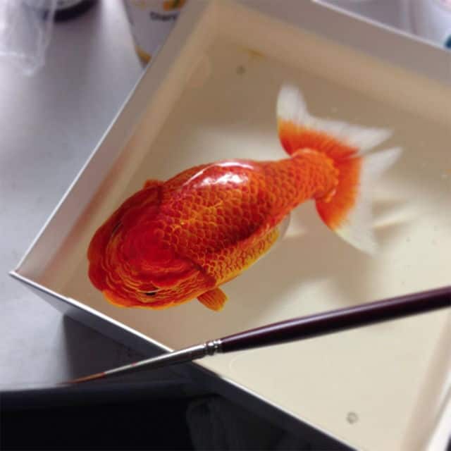 3D Gold Fish Keng Fye1