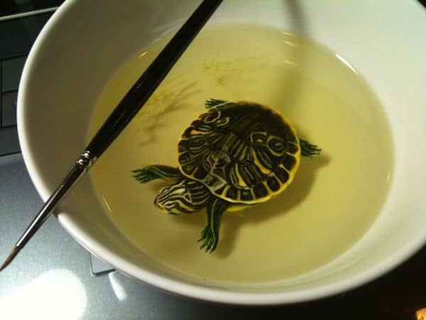 3D Turtle Keng Lye
