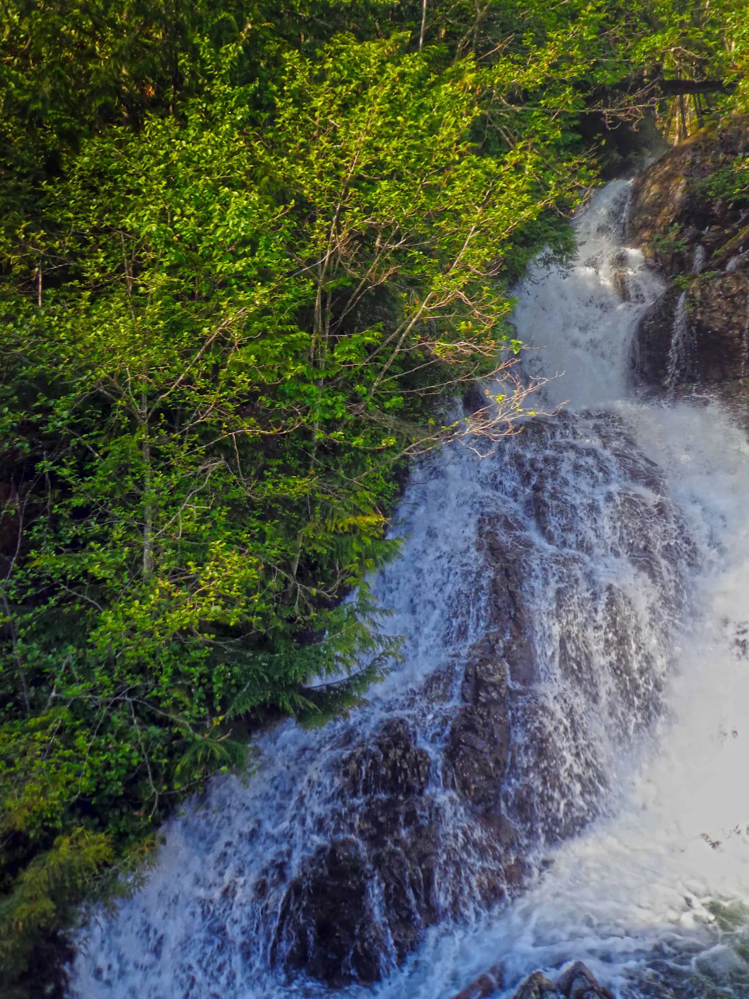 Slow Your Roll - Try Train Travel and Learn To Unwind 4 train travel whistler sea to sky waterfall