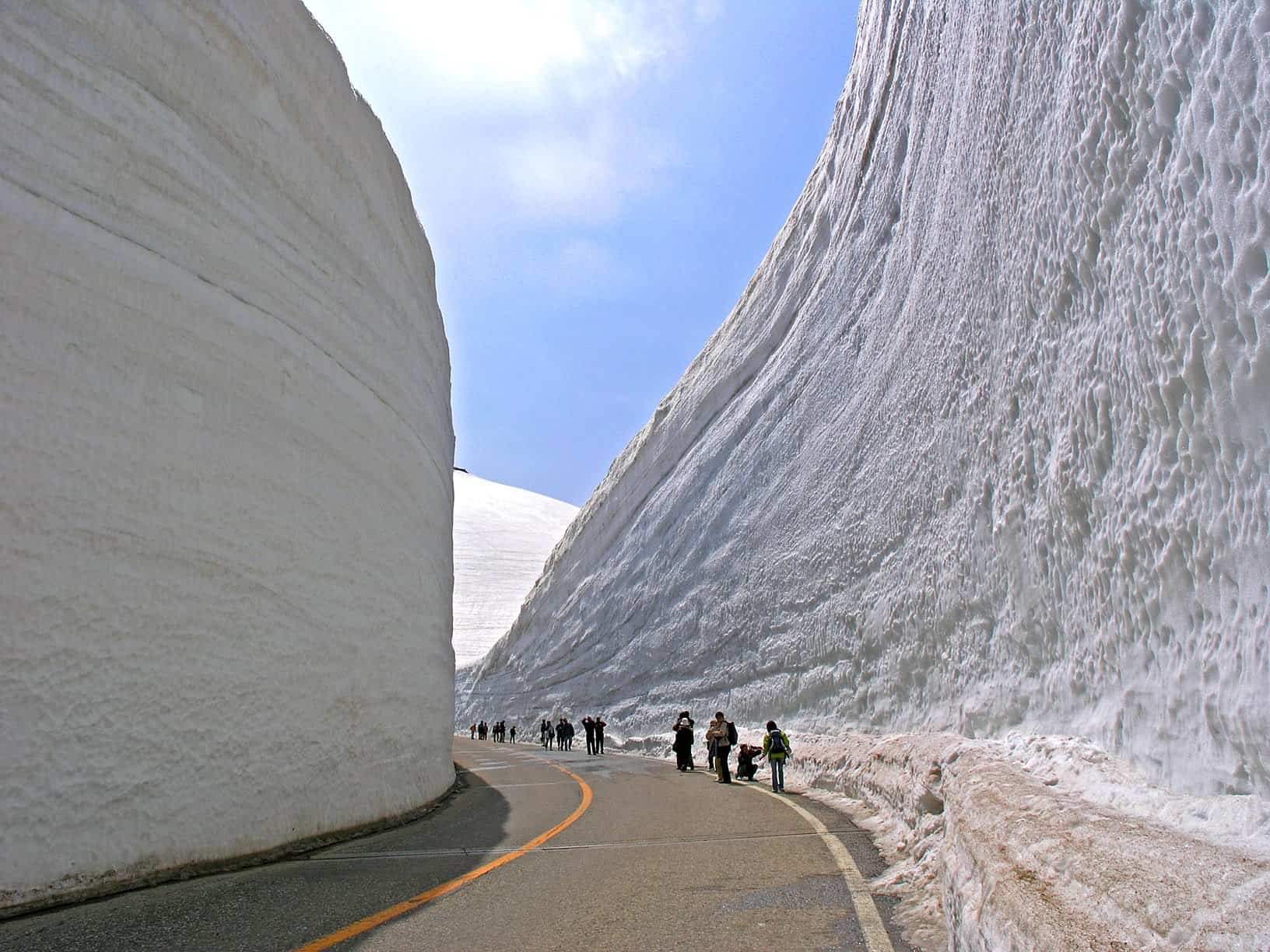 Winter is Already Here - The Wall is in Japan, and It's Manned by... Snow Monkeys 2 snow monkeys wall japan
