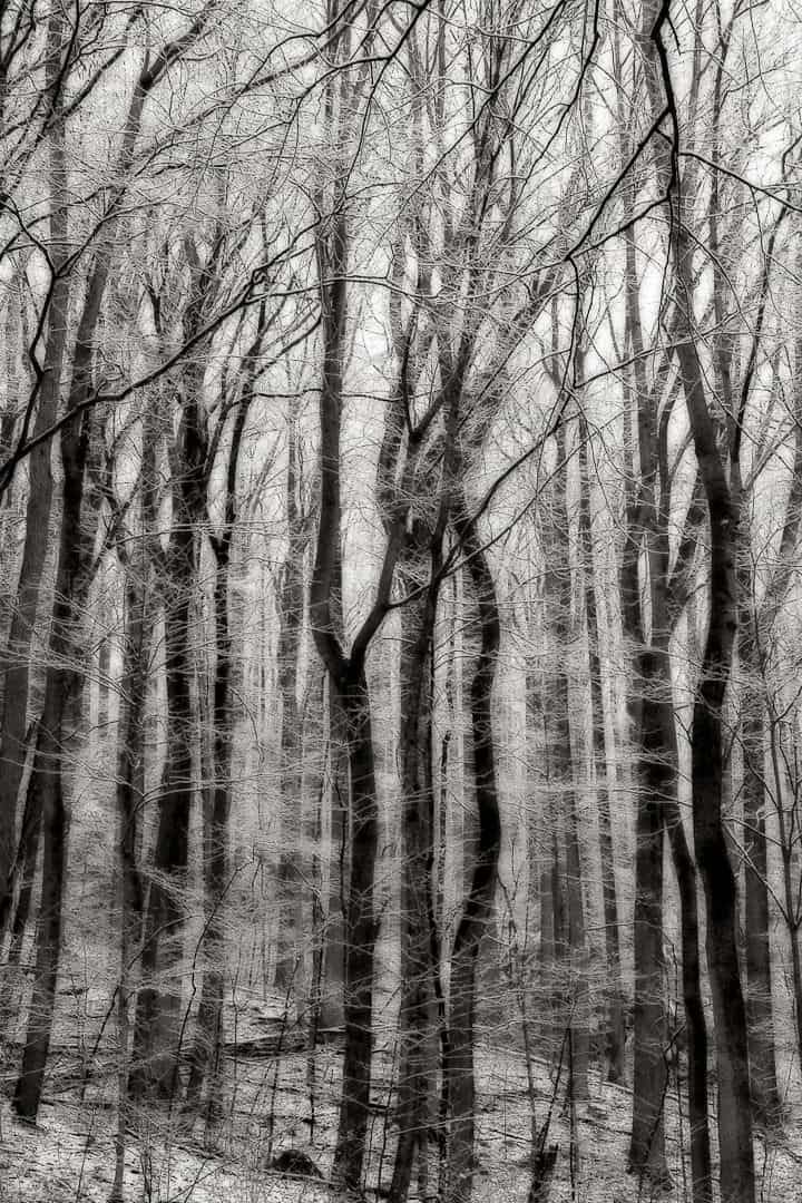 photos of the smoky mountains by Eric Gebhart