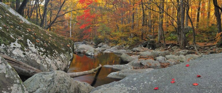 photos of the smoky mountains by Eric Gebhart