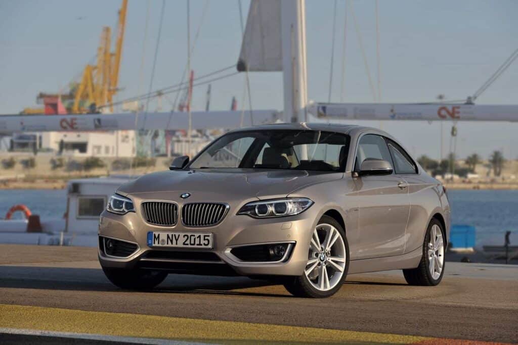 2014 BMW 2 Series 10