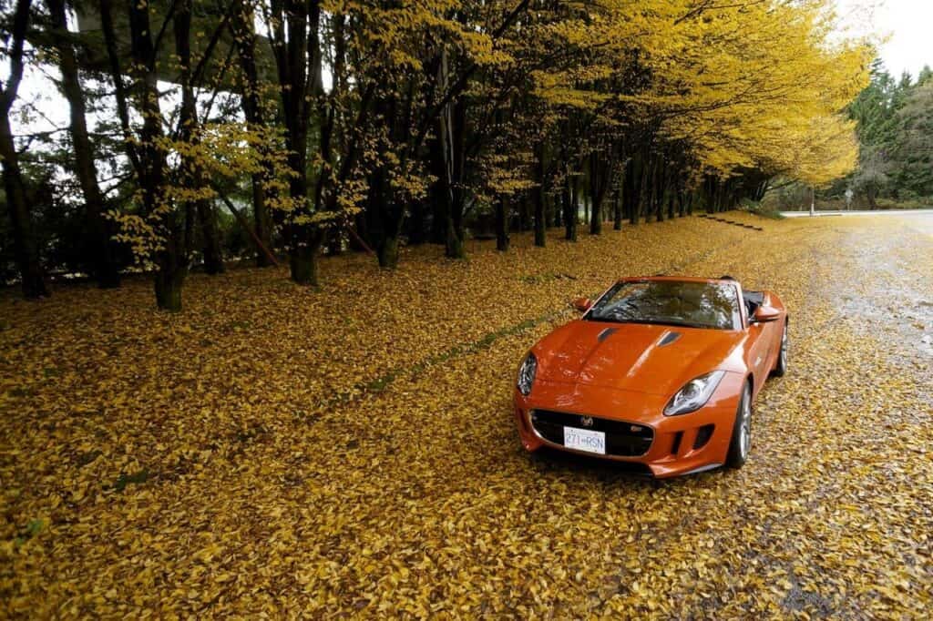 Jaguar F Type S Roadster 10