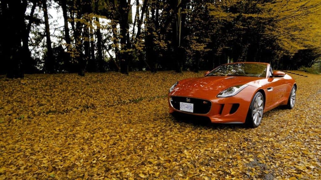 Jaguar F Type S Roadster 11