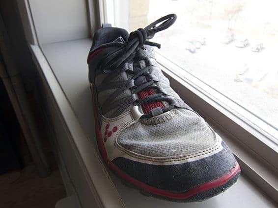 survival shoelaces