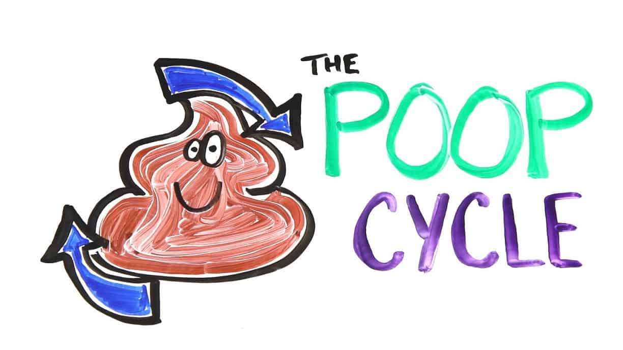 cartoon poo drawing