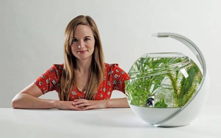 Avo Self Cleaning Fish Tank 1