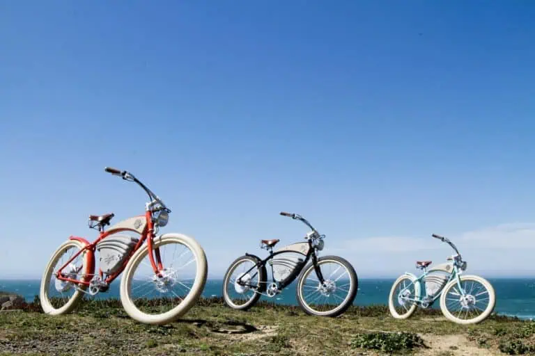 Cruz Vintage Electric Bike 1