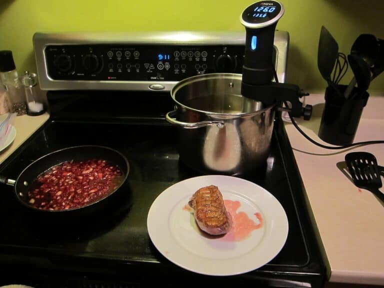 anova sous vide cooker 11