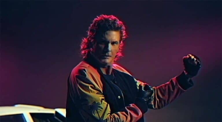 david hasselhoff true survivor
