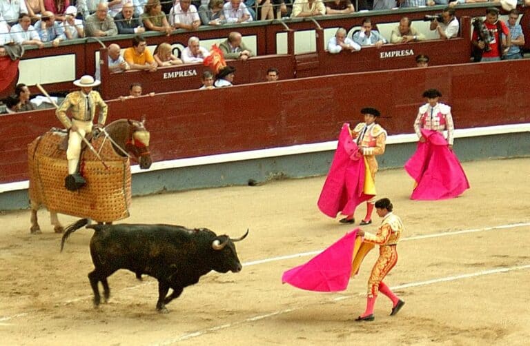 bullfighting in spain