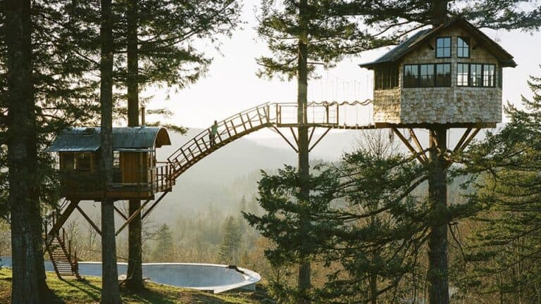 dream treehosue