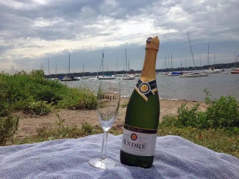 andres extra dry champagne02