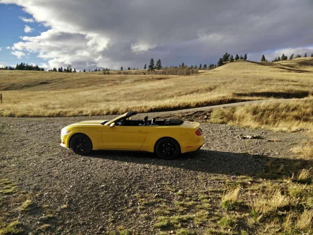 2015 Ford Mustang EcoBoost Convertible 8